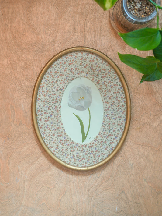 Tulip - Framed Print