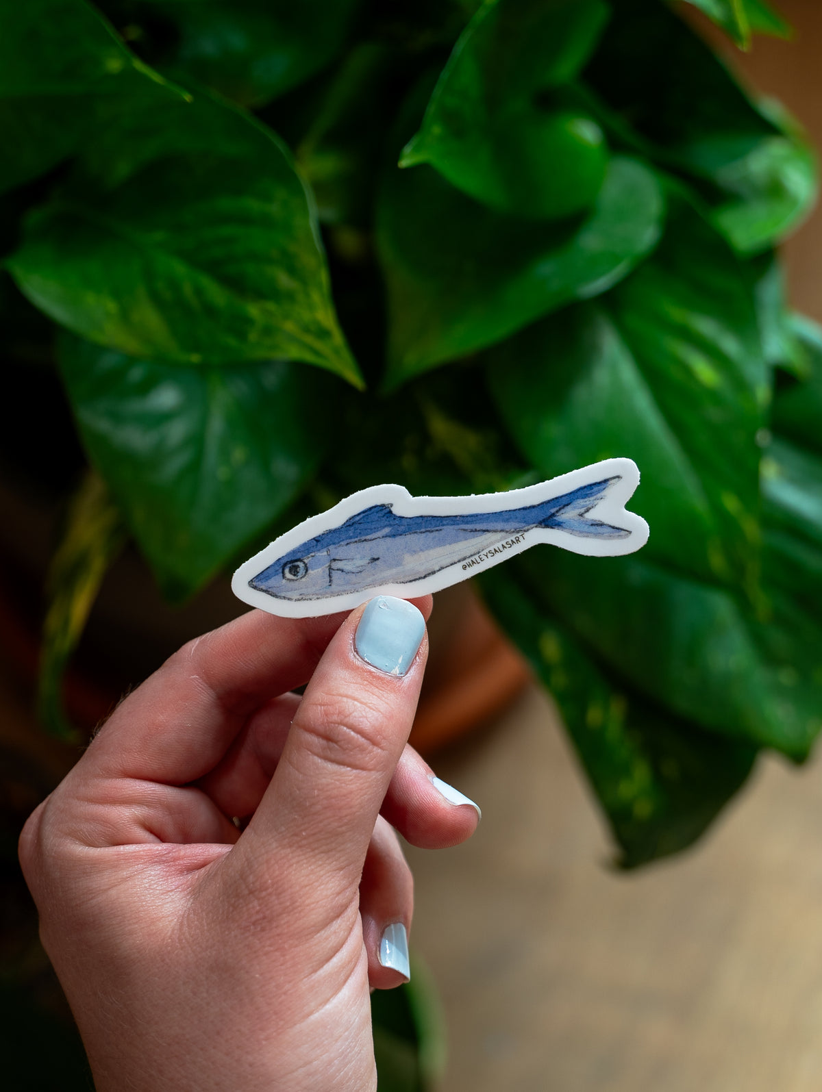 By the Sea Sticker Pack
