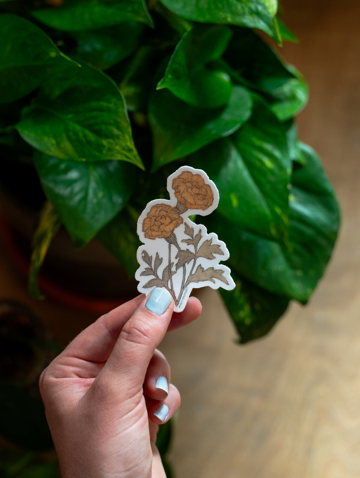 Birth Month Flower Sticker Pack