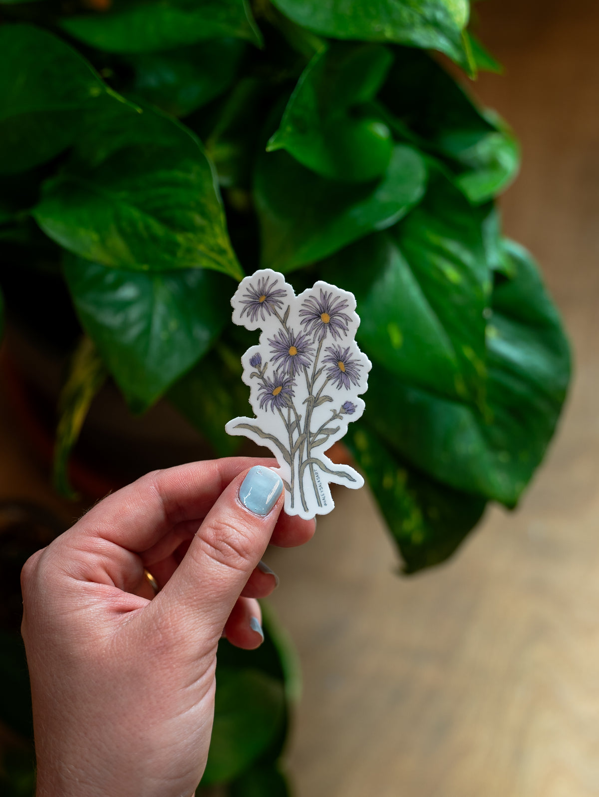 Birth Month Flower Sticker Pack