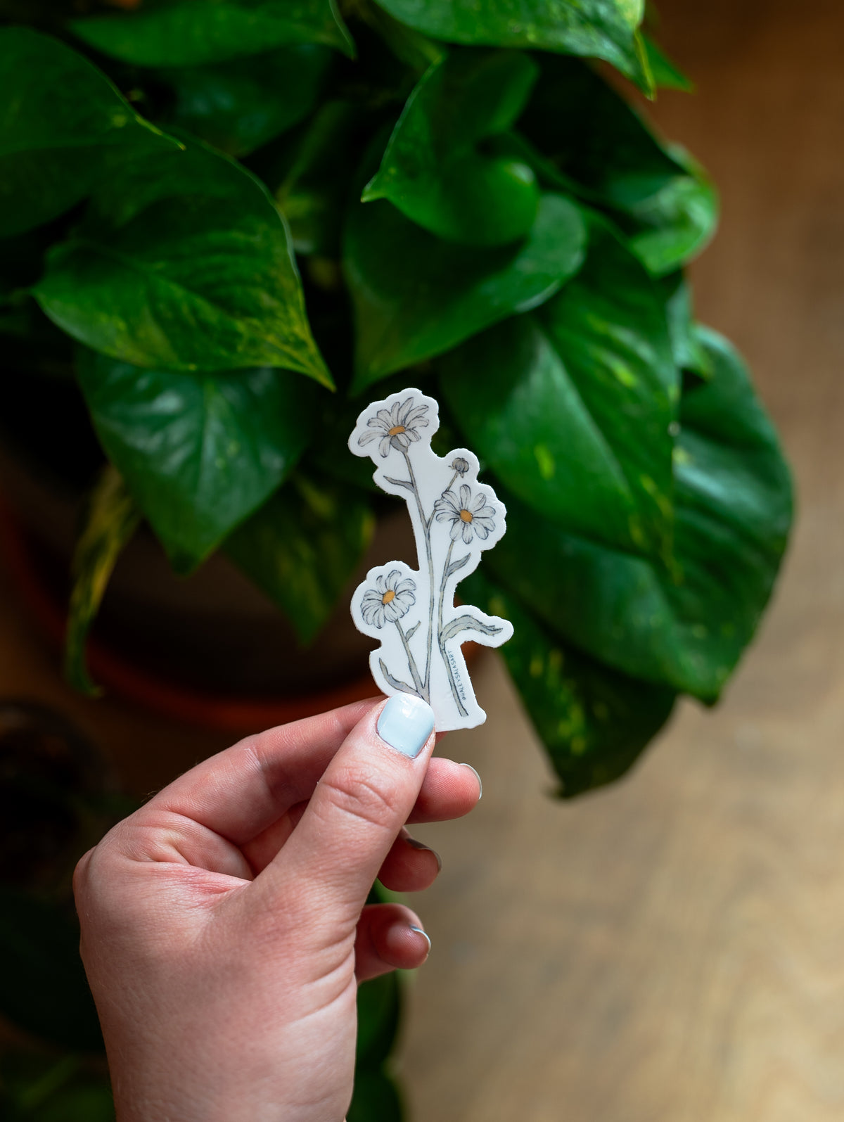 Birth Month Flower Sticker Pack