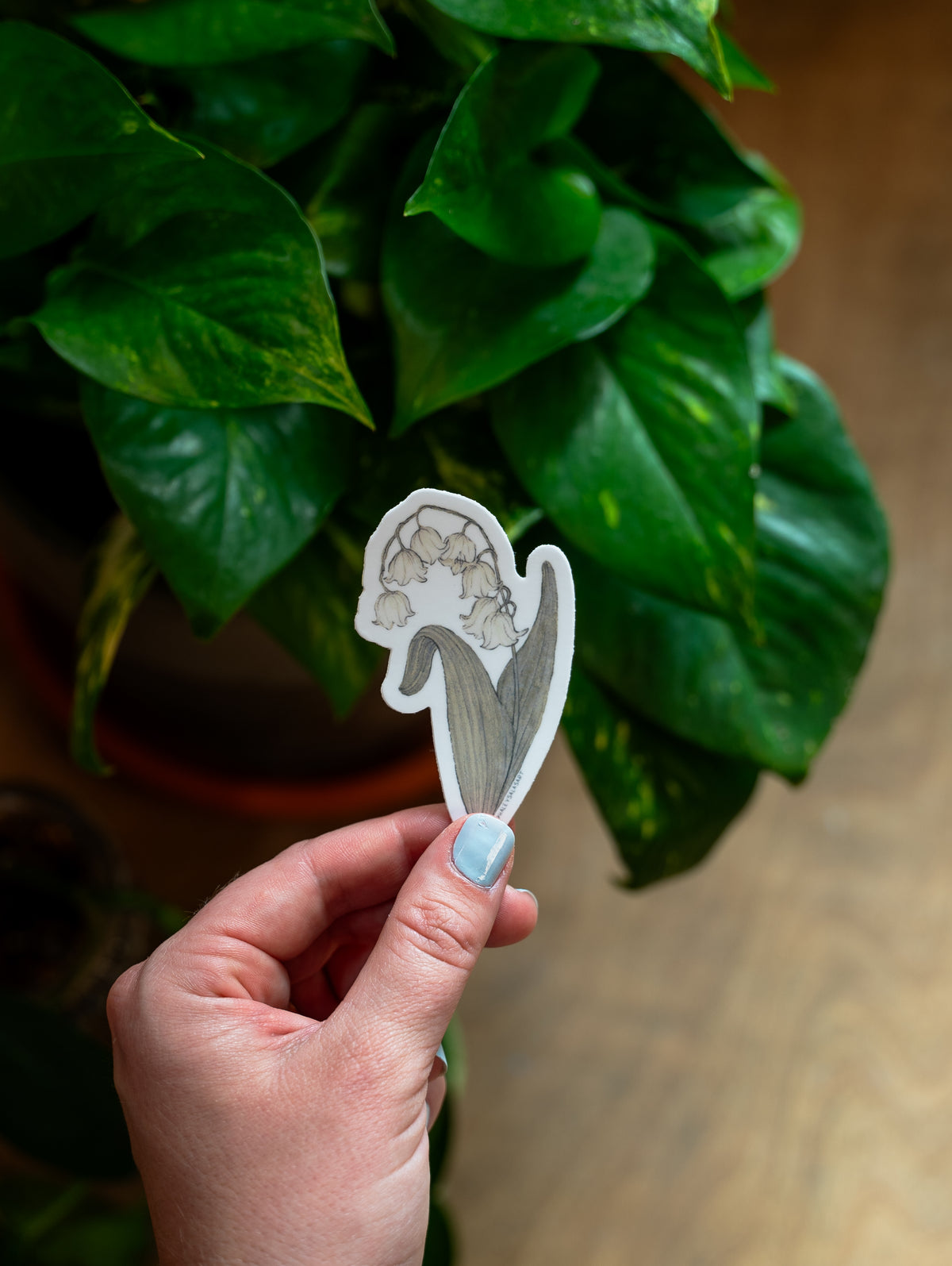 Birth Month Flower Sticker Pack