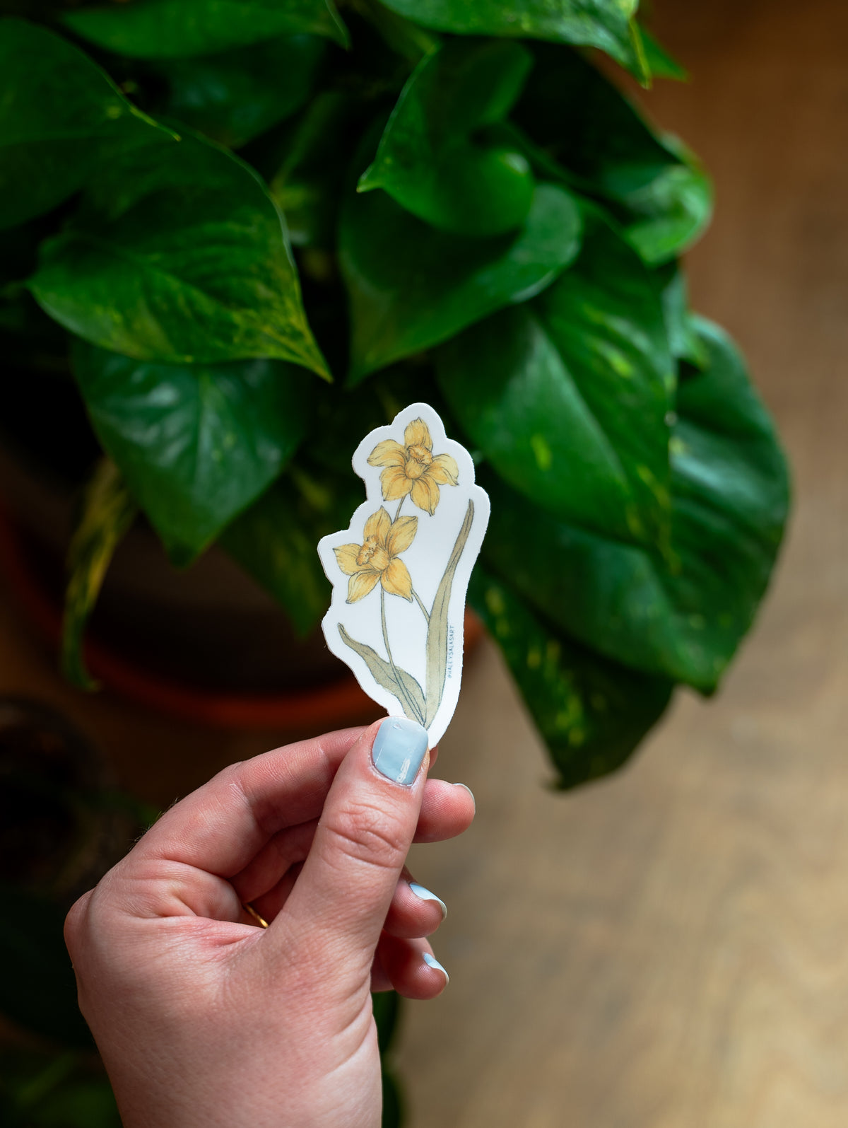 Birth Month Flower Sticker Pack