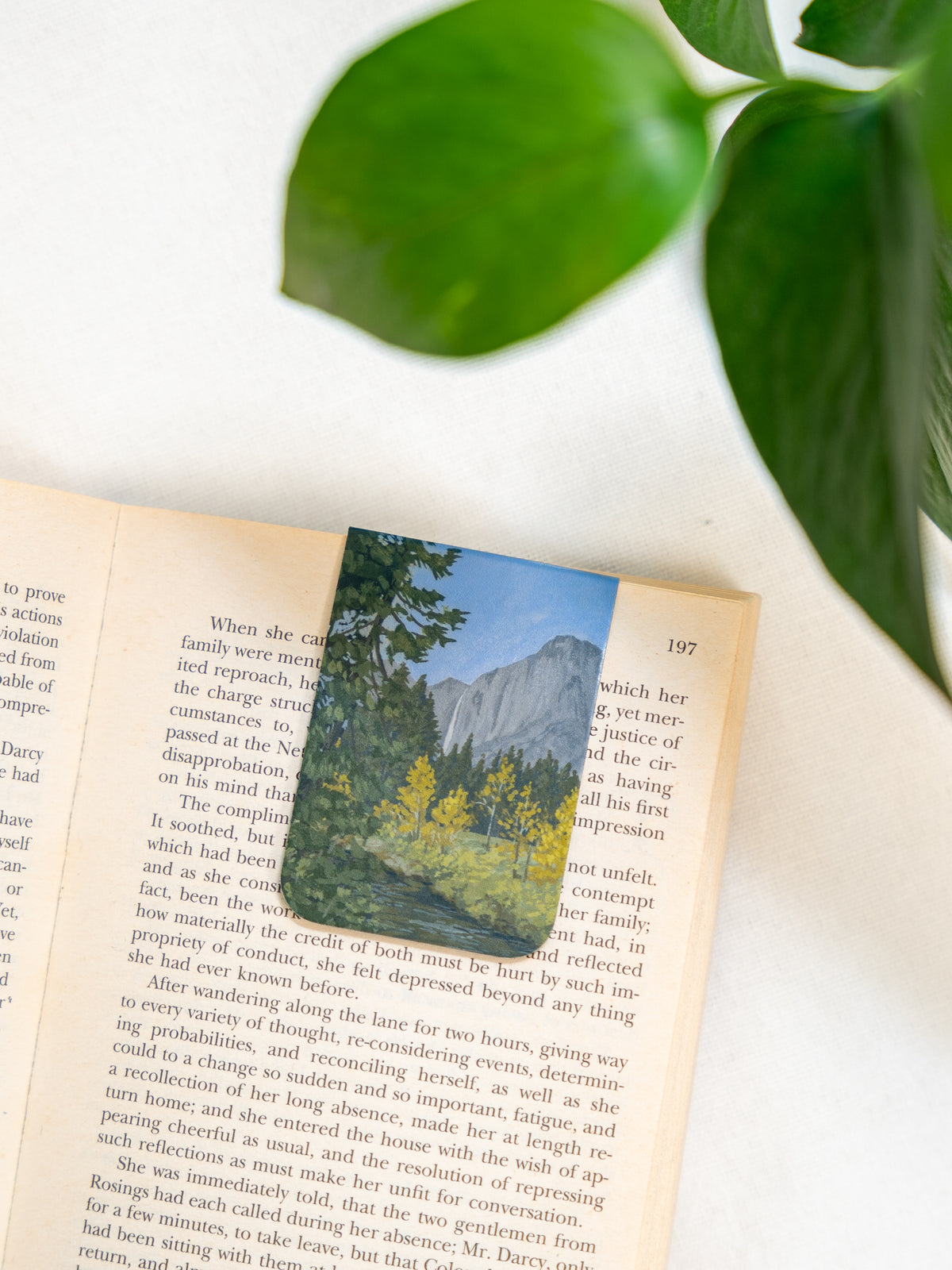 Magnetic Bookmarks - Yosemite 1