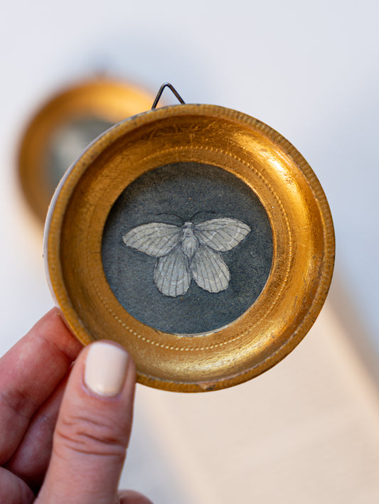 Mini Moths 2 - Original