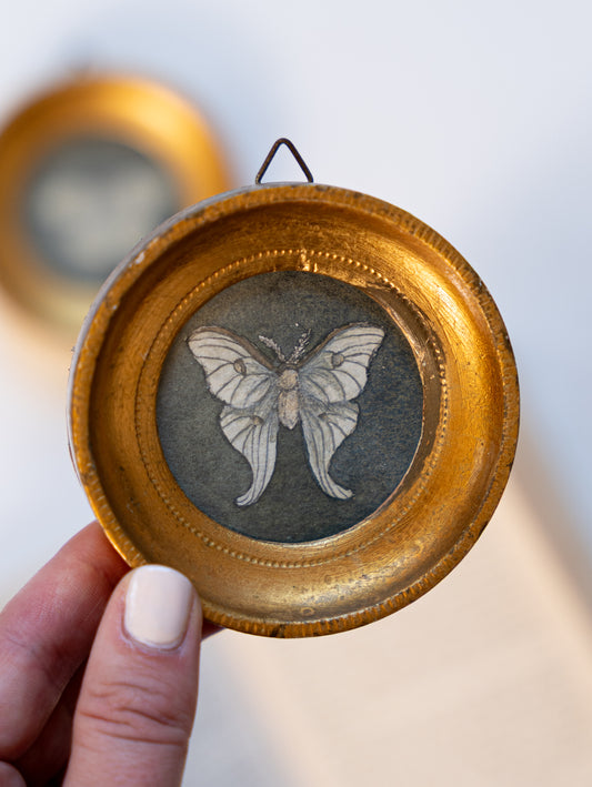 Mini Moths 1 - Original