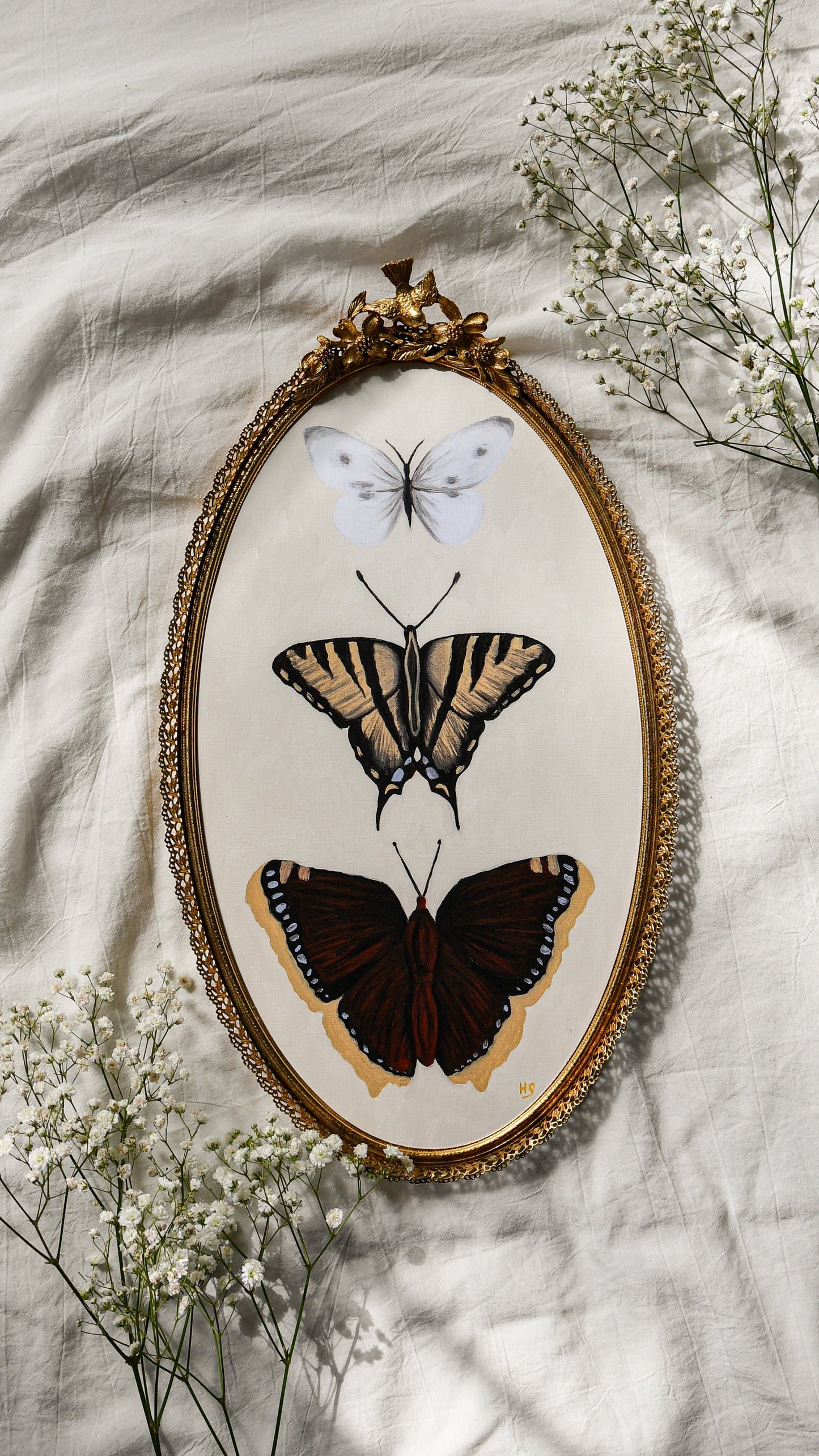 Butterflies - Framed Print
