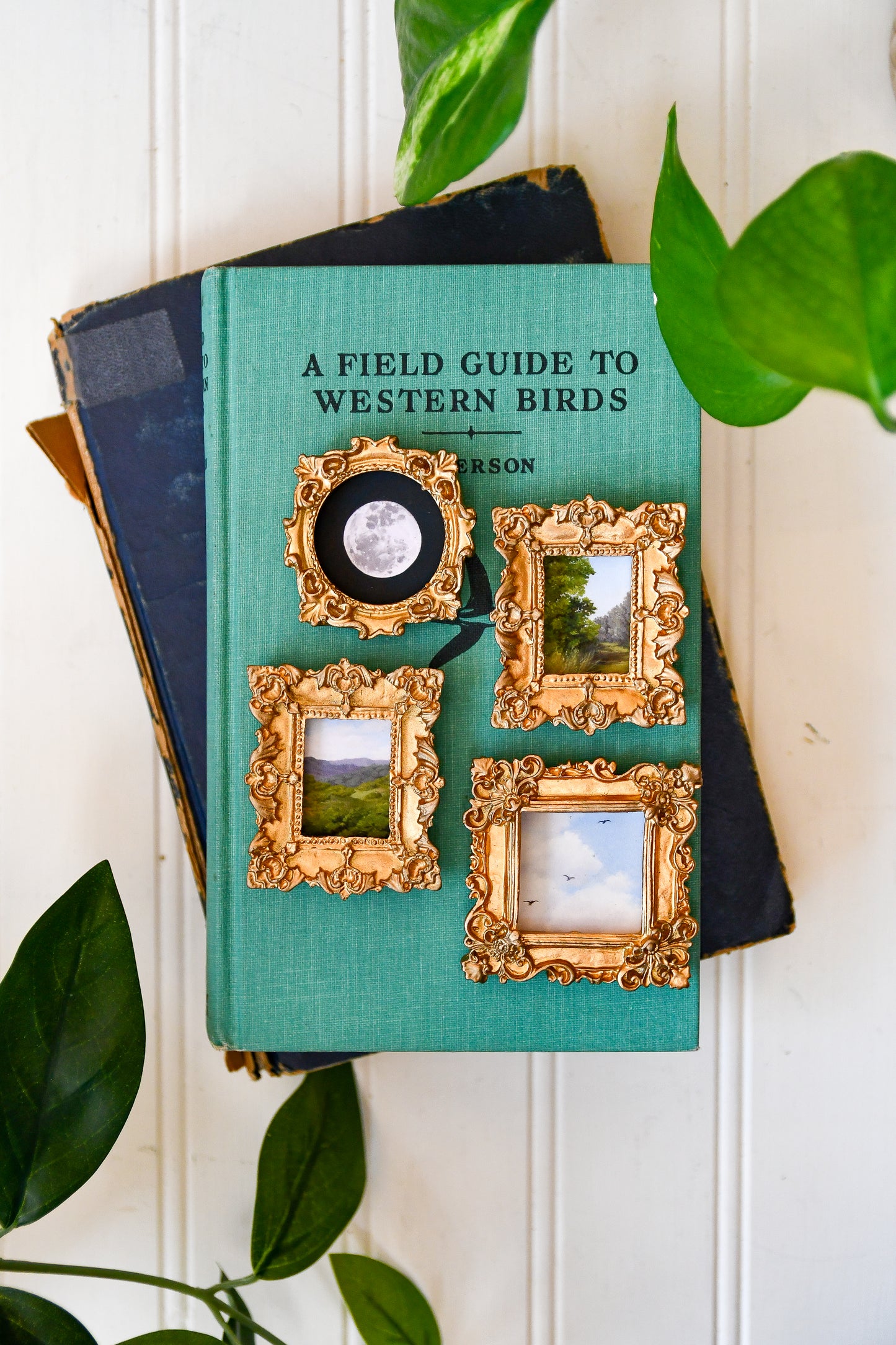 Landscapes - Mini Magnets Bundle