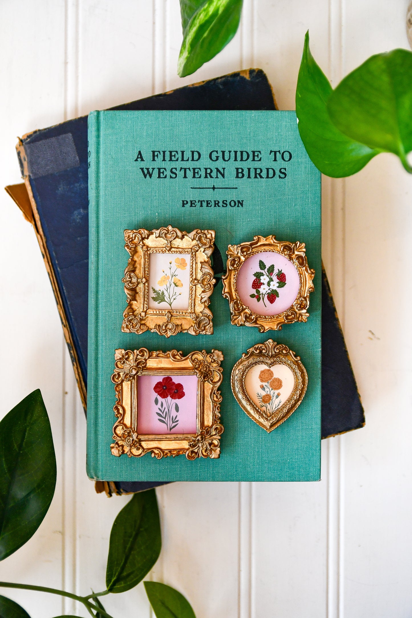 Botanicals 2 - Mini Magnets Bundle