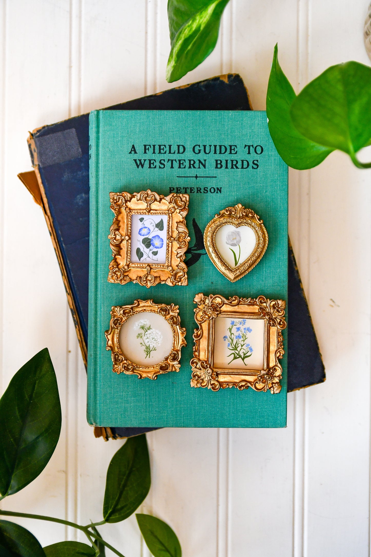 Botanicals 1 - Mini Magnets Bundle