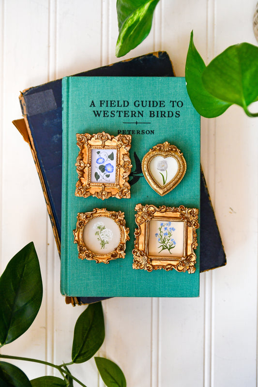 Botanicals 1 - Mini Magnets Bundle