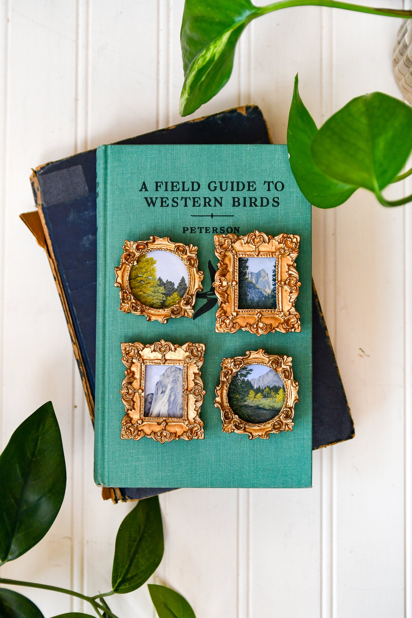 Yosemite - Mini Magnets Bundle