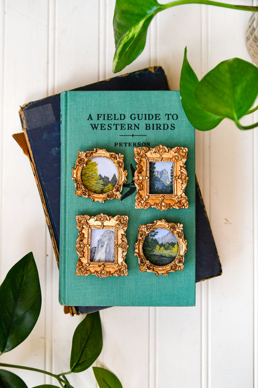 Yosemite - Mini Magnets Bundle