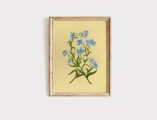 Forget Me Nots - Print
