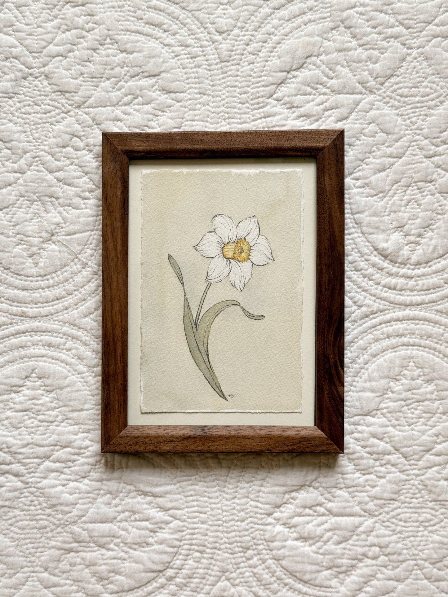 DECEMBER Narcissus - Original
