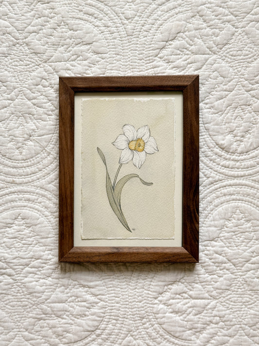 DECEMBER Narcissus - Original