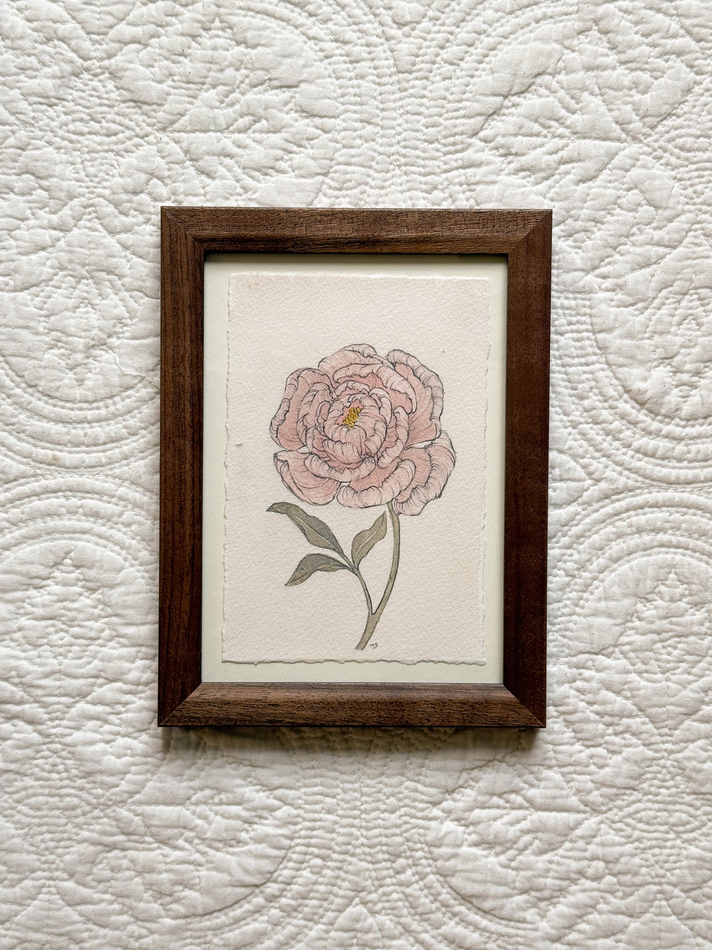NOVEMBER Peony - Original