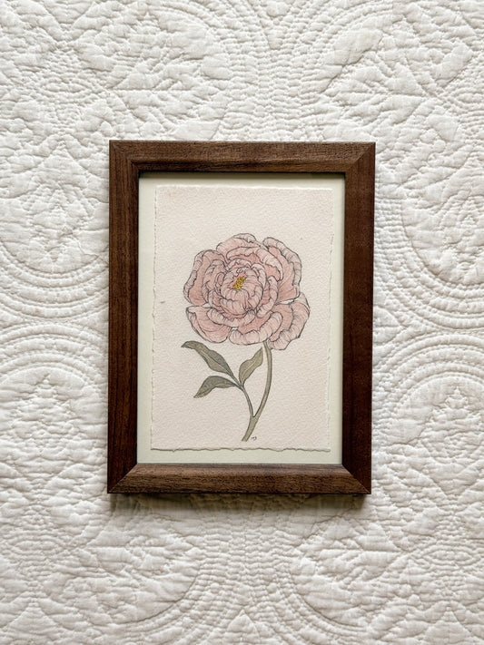 NOVEMBER Peony - Original
