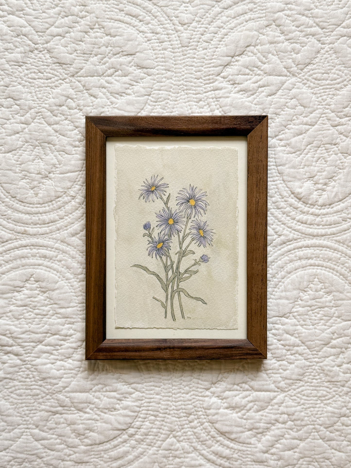 SEPTEMBER Aster - Original