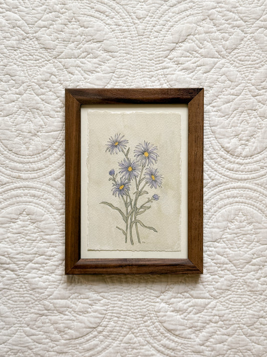 SEPTEMBER Aster - Original