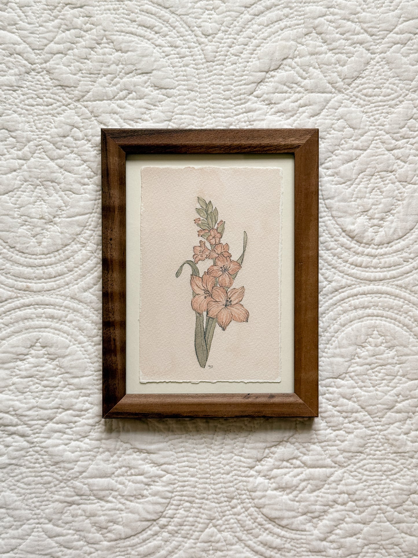 AUGUST Gladiolus - Original