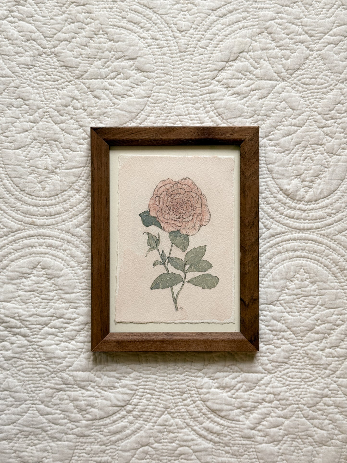 JUNE Rose - Original