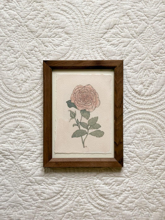 JUNE Rose - Original