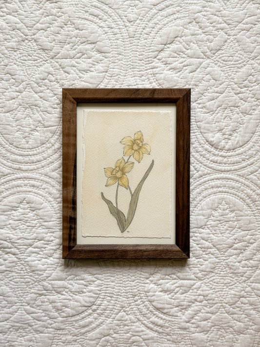 MARCH Daffodils - Original