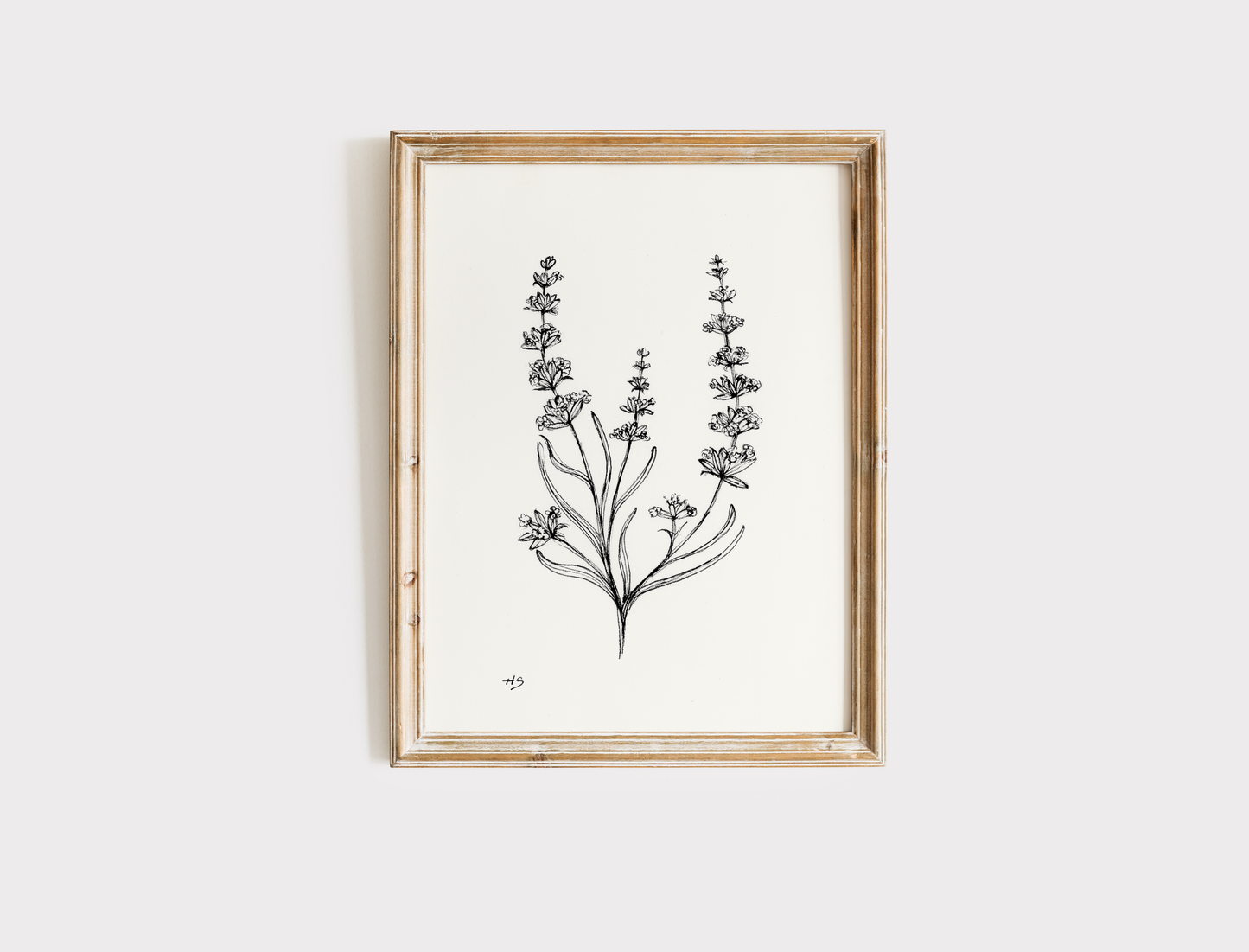Lavender Sketch - Print