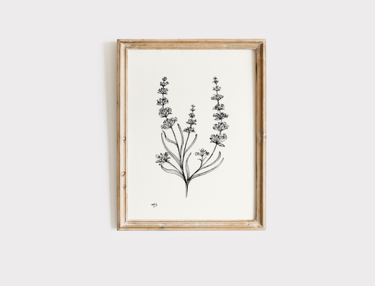 Lavender Sketch - Print