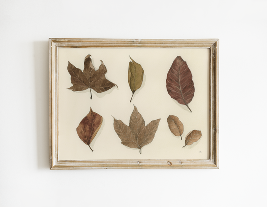 Autumn Leaves - Prints