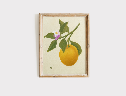 Lemon in the sun - Prints