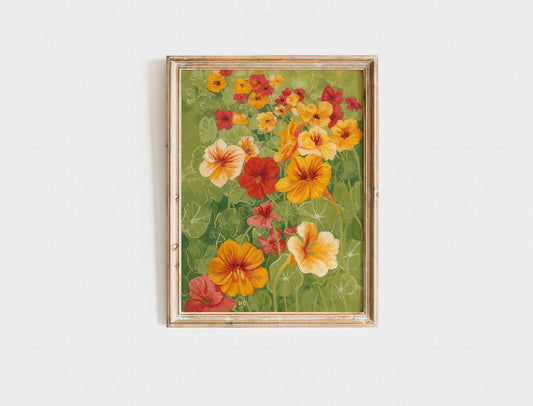 Garden Nasturtium - Print