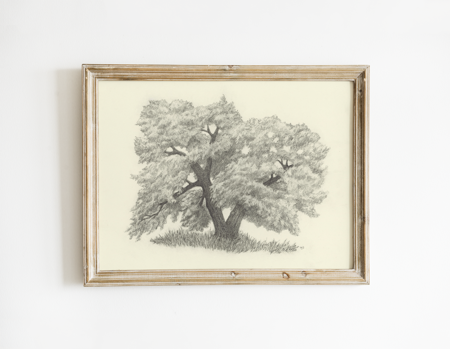 Oak Tree - Print