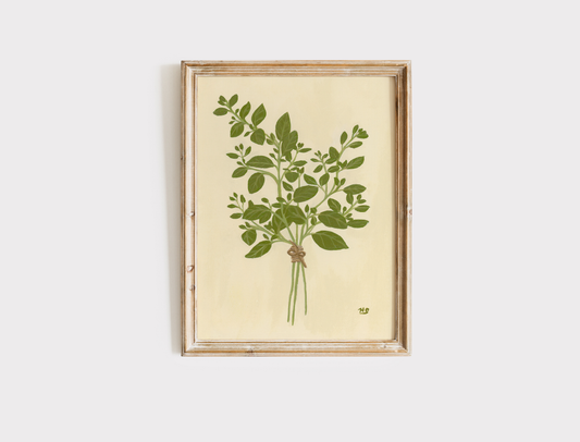 Oregano - Print