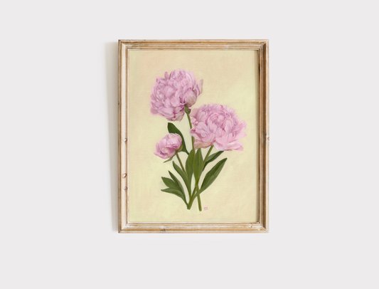 French Pink Peonies - Print