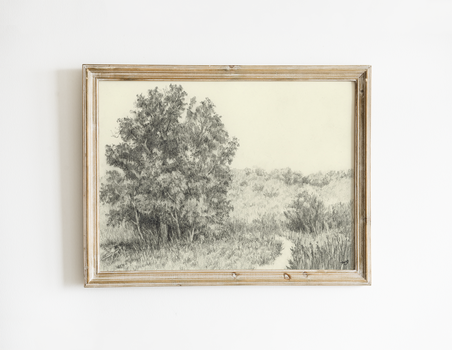 The Old Tree - Print