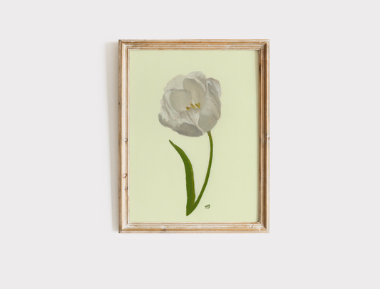 Tulip - Print