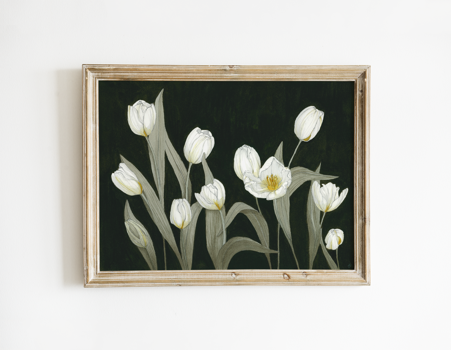Tulips - Print
