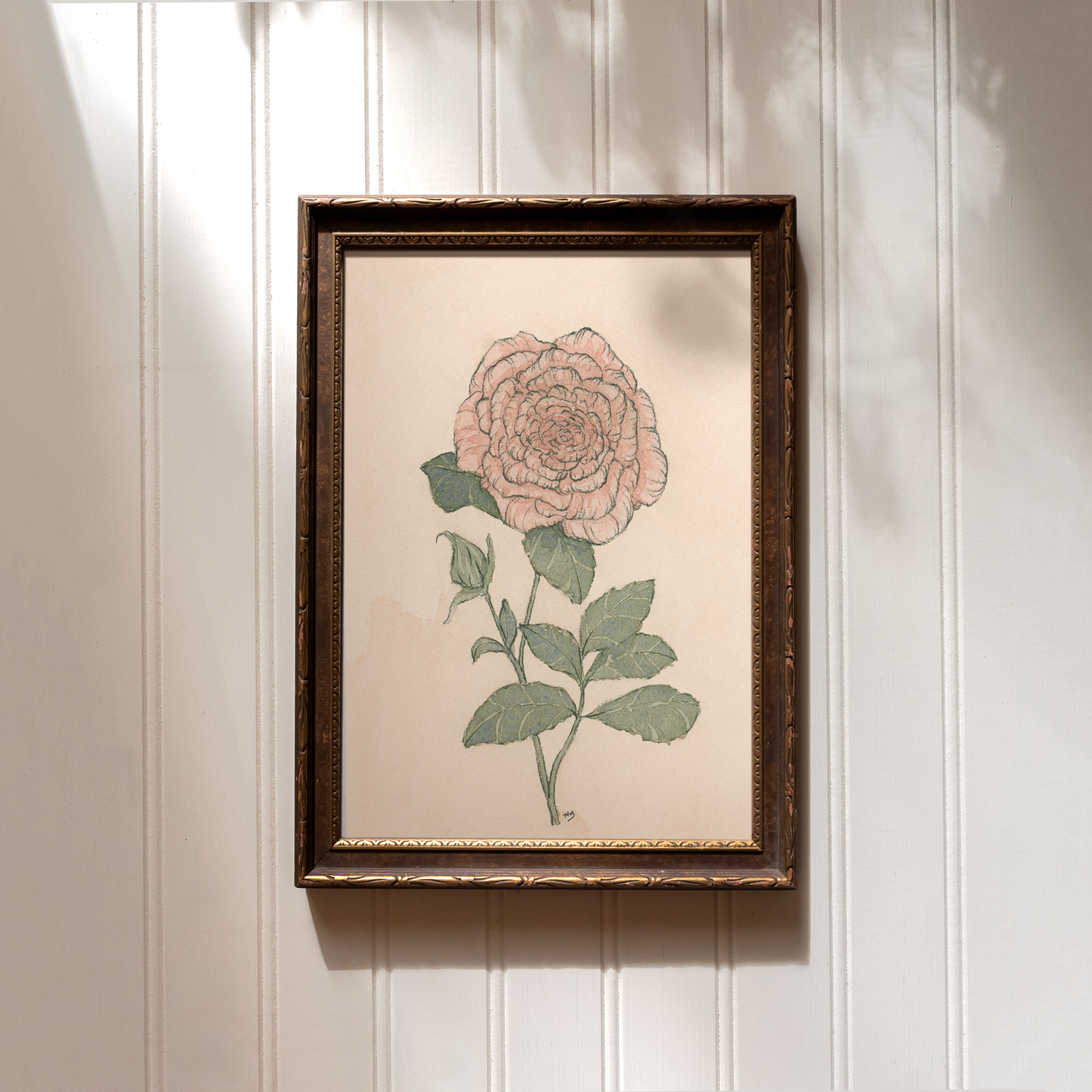 Rose - Print