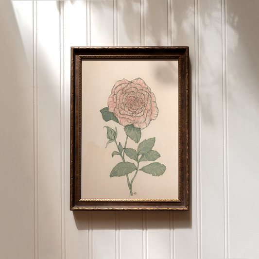 Rose - Print