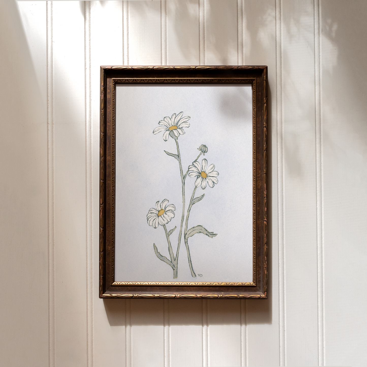 Daisies - Print