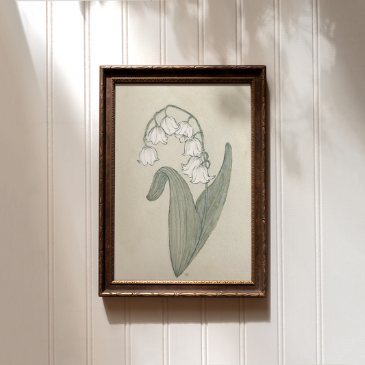 Lily of the Valley - Print