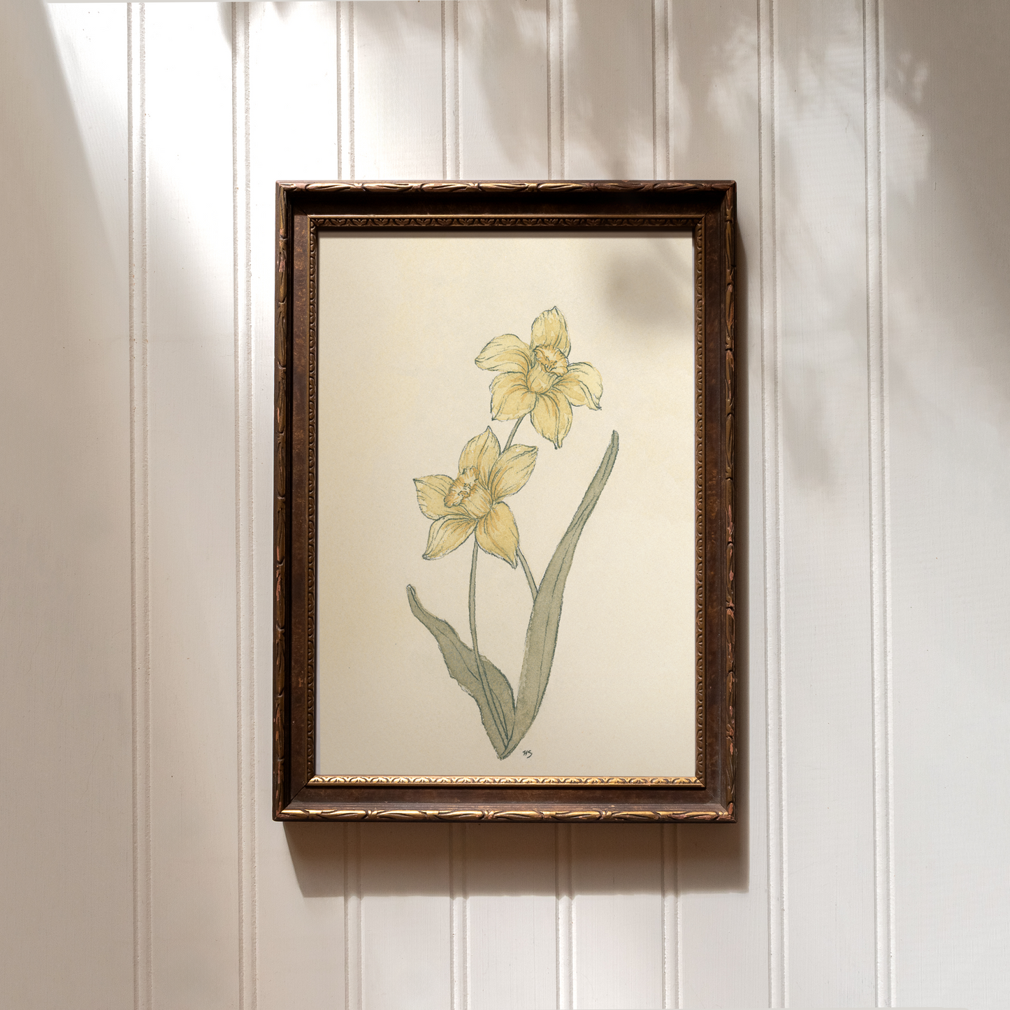Daffodils - Print