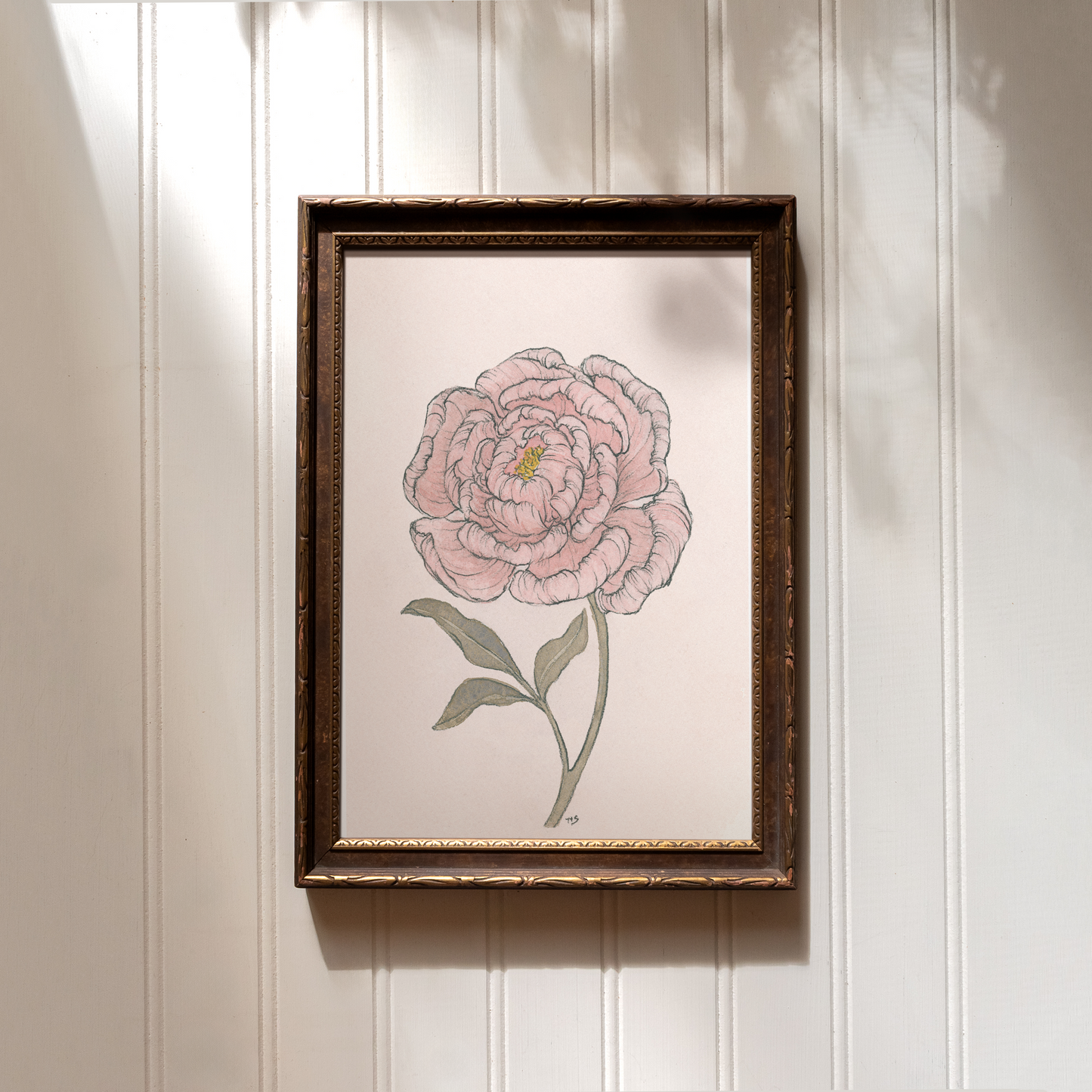Peony - Print