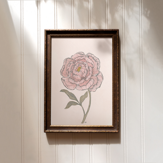 Peony - Print