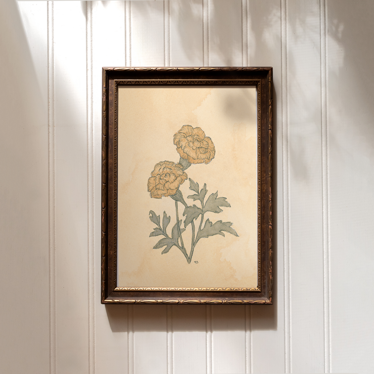 Marigold - Print