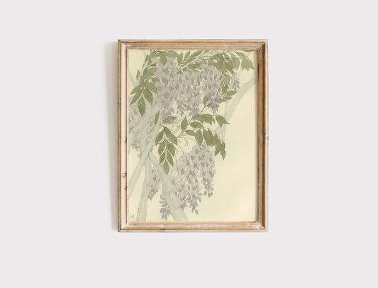 Wisteria - Print
