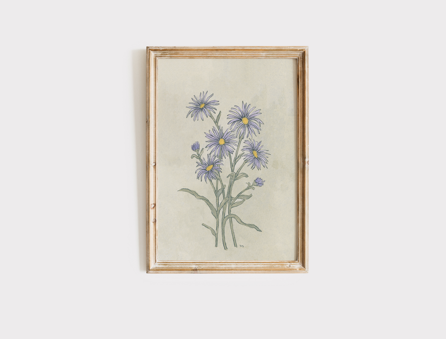 Aster - Print