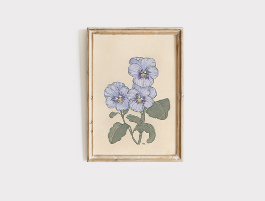 Violets - Print